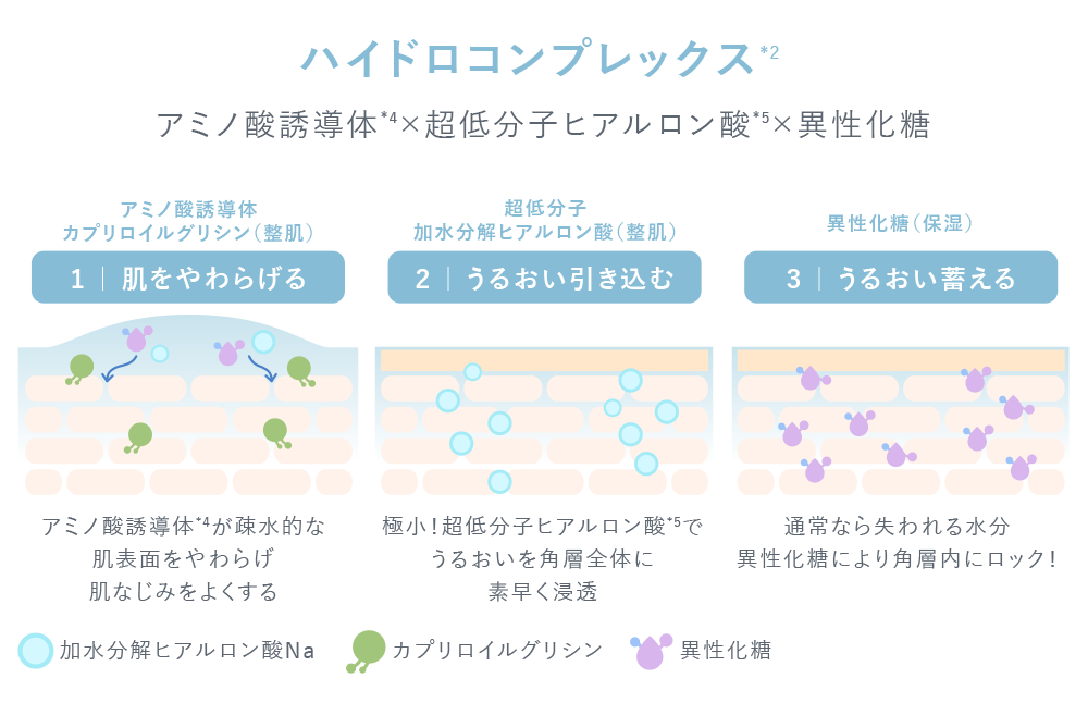 図：ハイドロコンプレックス