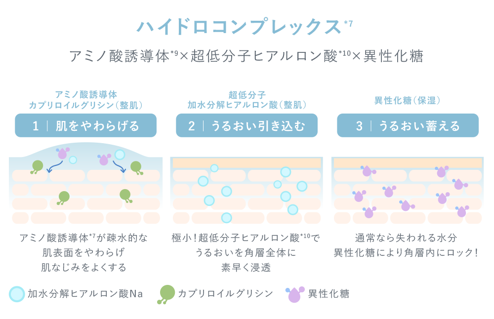 図：ハイドロコンプレックス